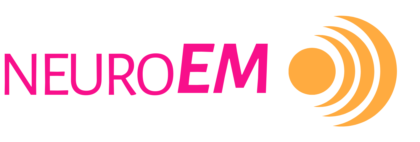 NeuroEM logo