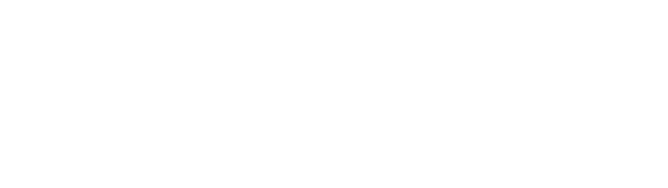 Sanctuary AI logo